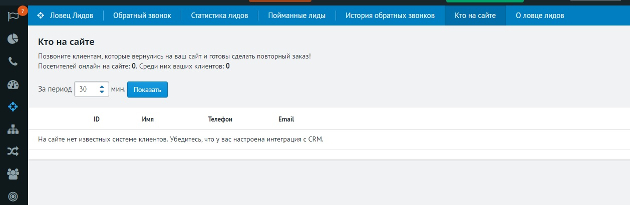 Roistat - кто на сайте