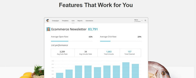 MailChimp - Характеристики