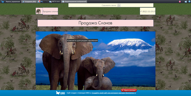 LP 1С-UMI - результат созданной Landing page